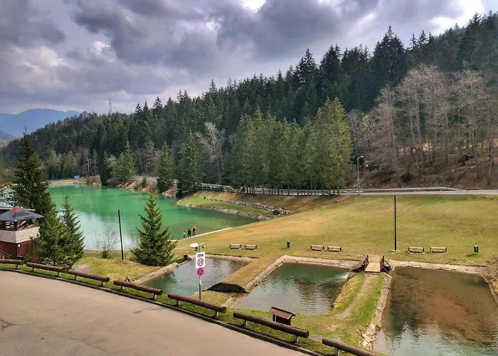 Apartman Renata 10